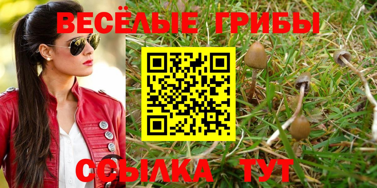 Галлюциногенные грибы мицелий Чусовой